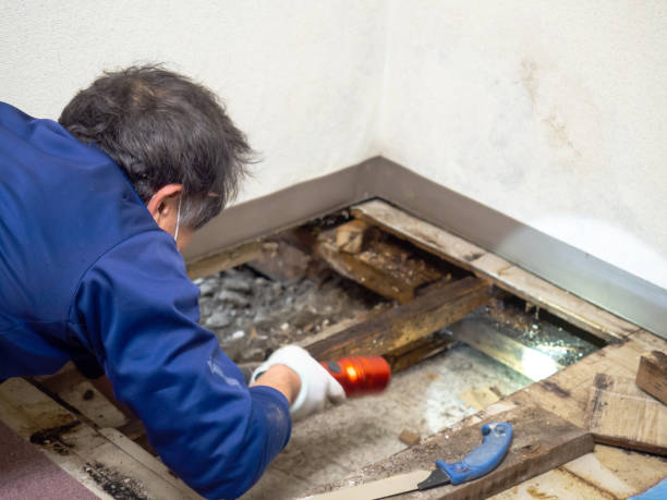 Best Crawl Space Mold Removal  in Omro, WI