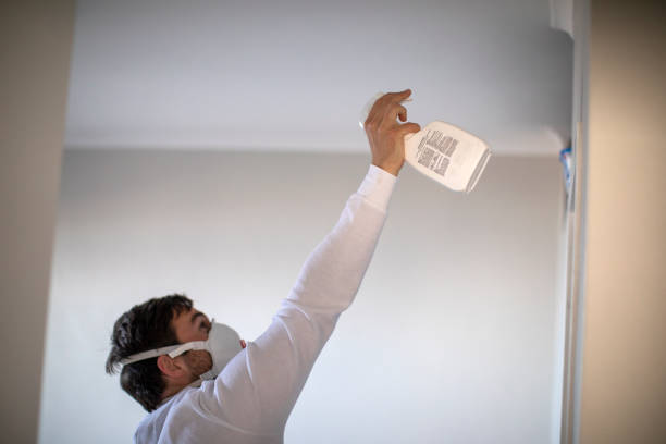 Best Black Mold Removal  in Omro, WI