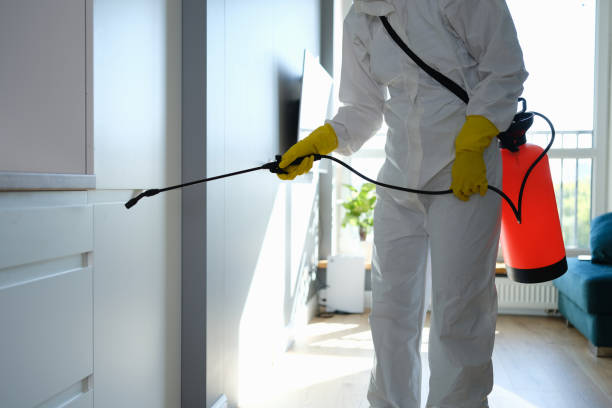 Attic Mold Removal in Omro, WI