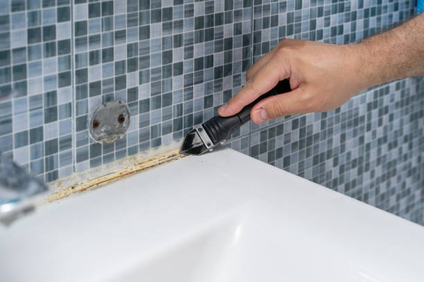 Best Best Mold Removal Companies  in Omro, WI